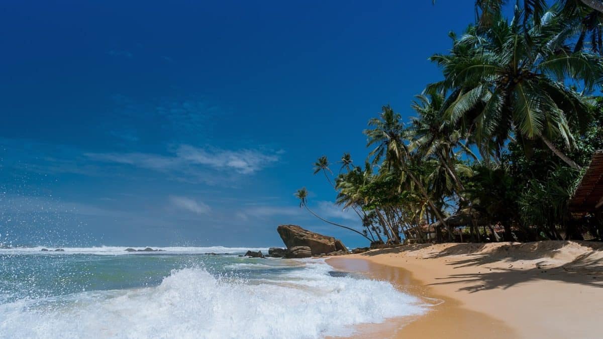 Trouvez votre destination idéale pour des vacances à la Toussaint au 